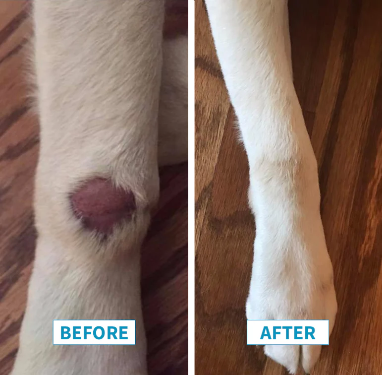 Allergy 6-Pack - Image 13