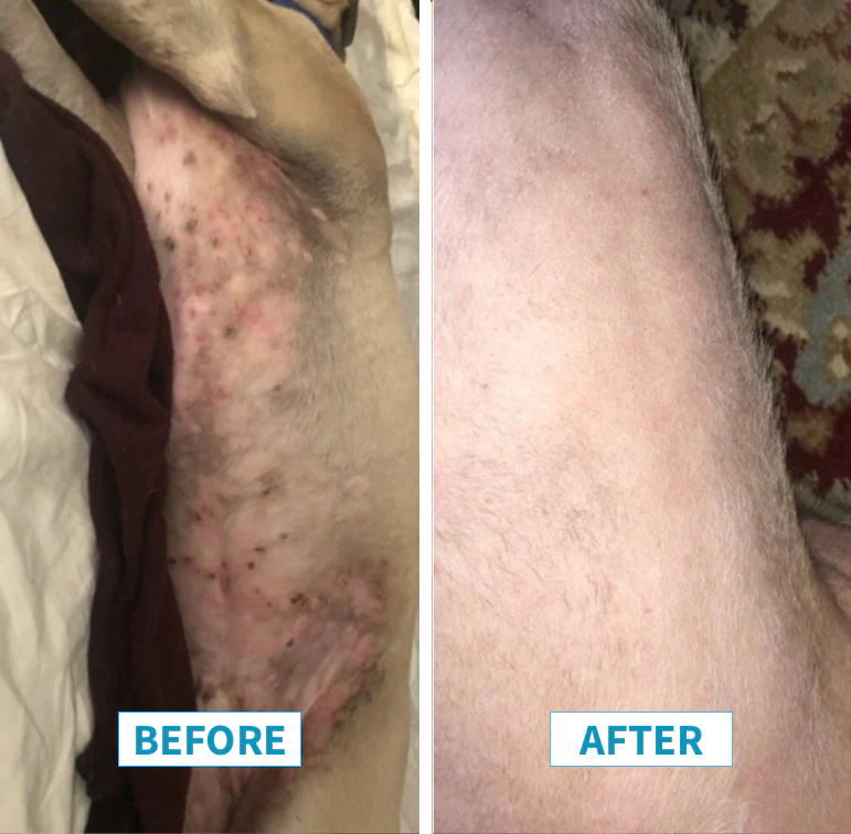 Allergy 6-Pack - Image 14