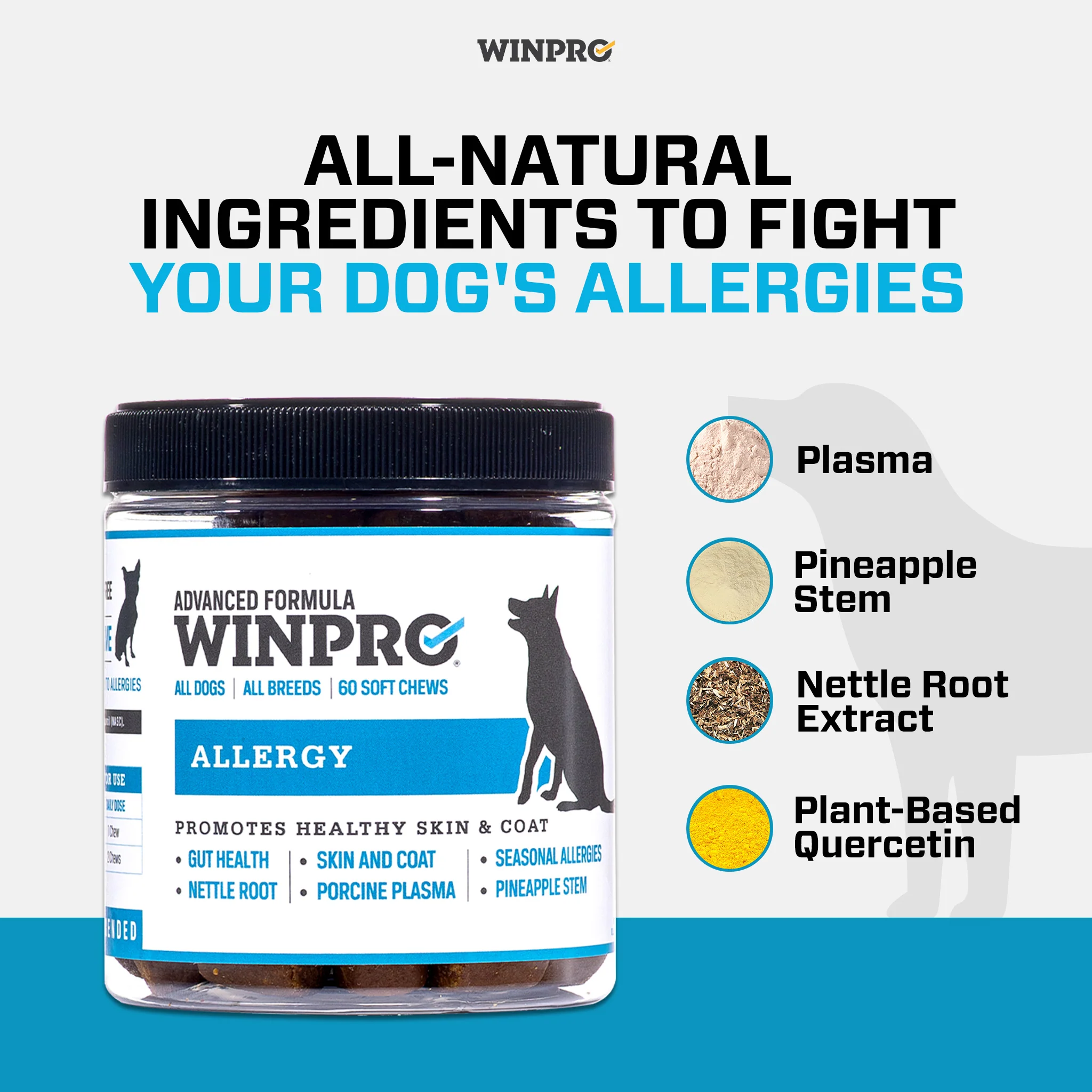 Allergy 6-Pack - Image 4