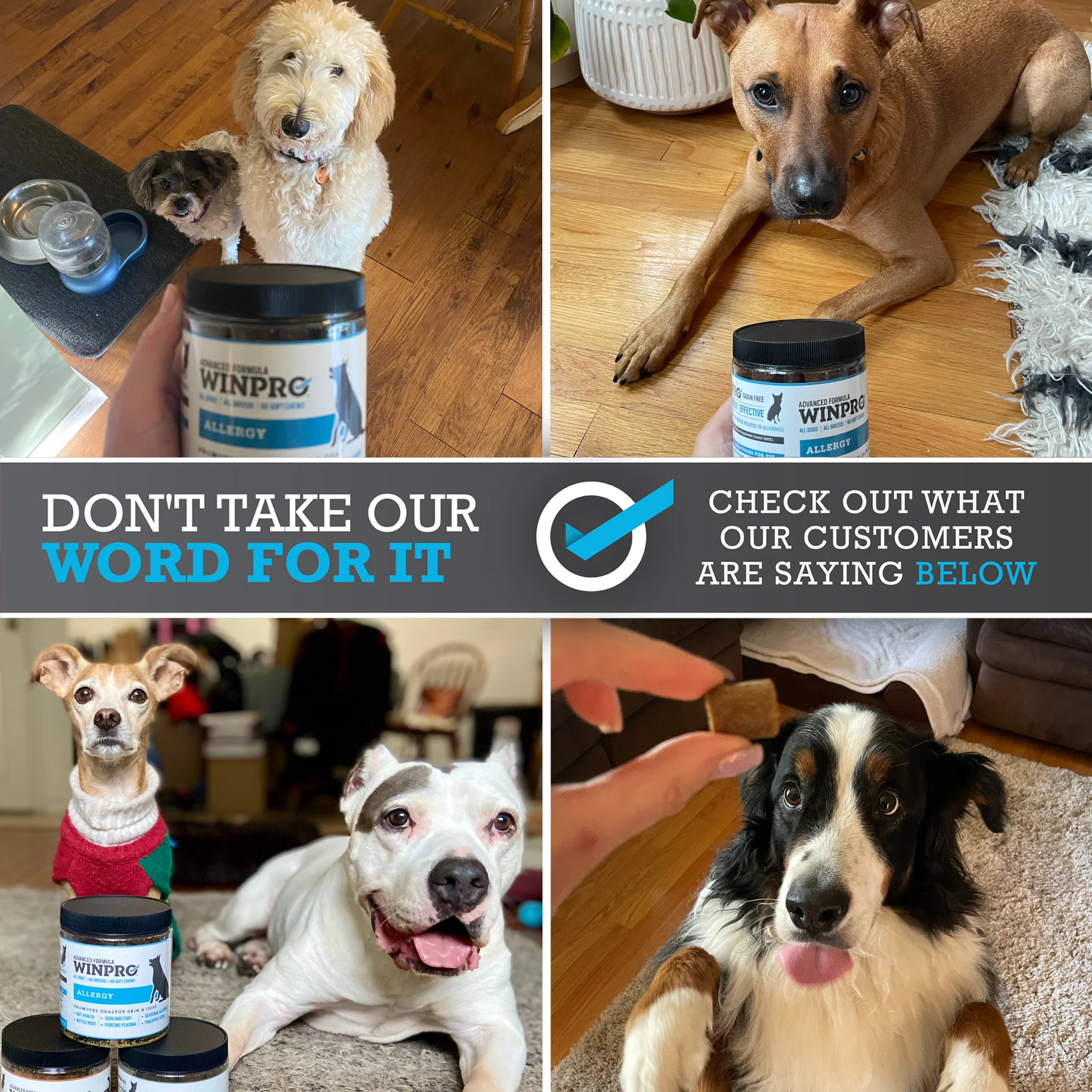 Allergy 6-Pack - Image 9