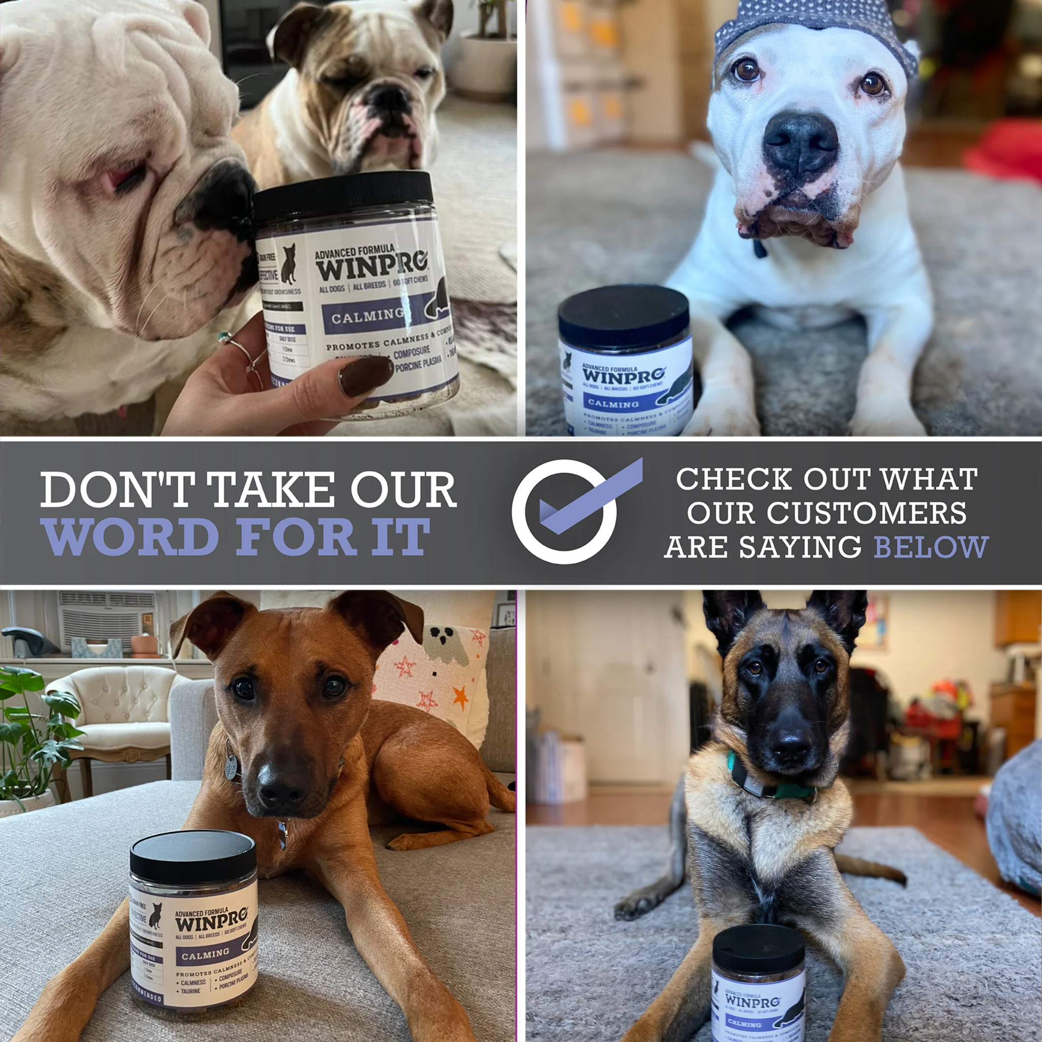 Calming 6-Pack - Image 9