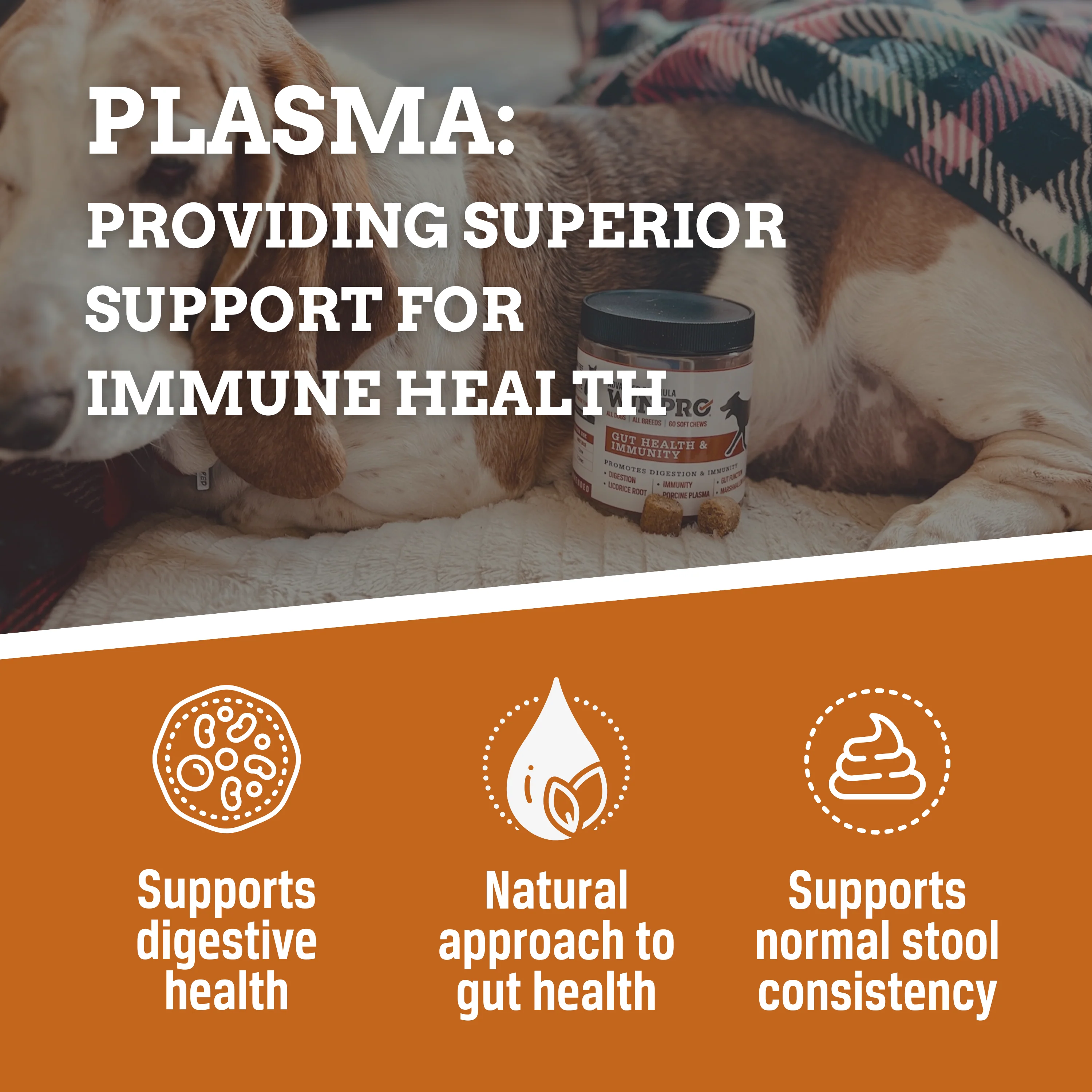 Gut Health - Image 10