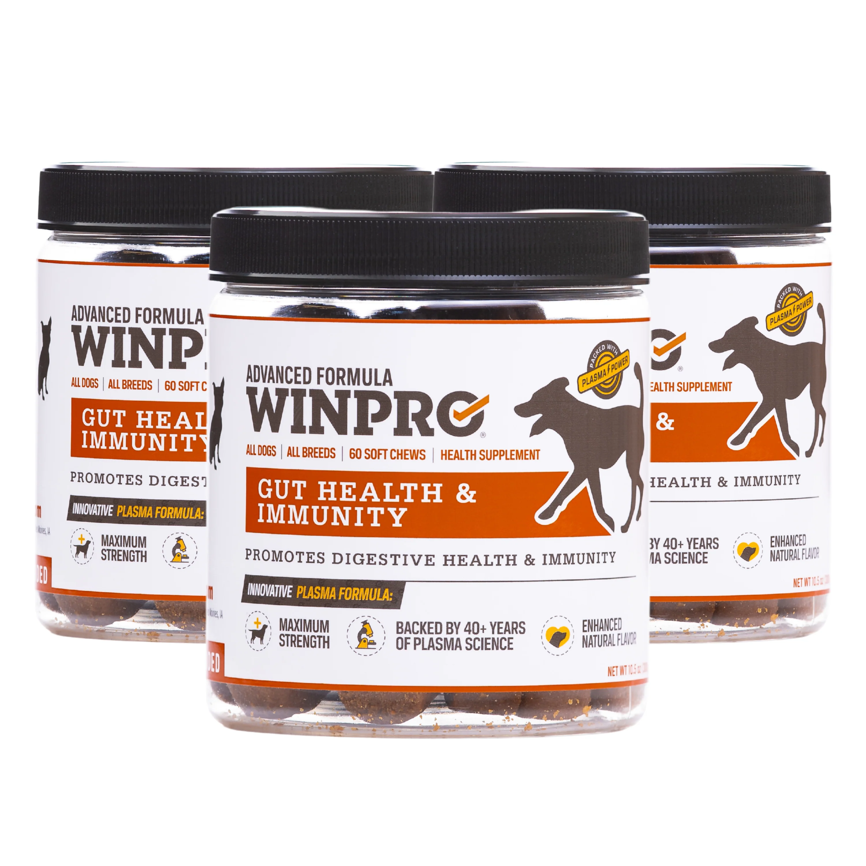 Gut Health - Image 13