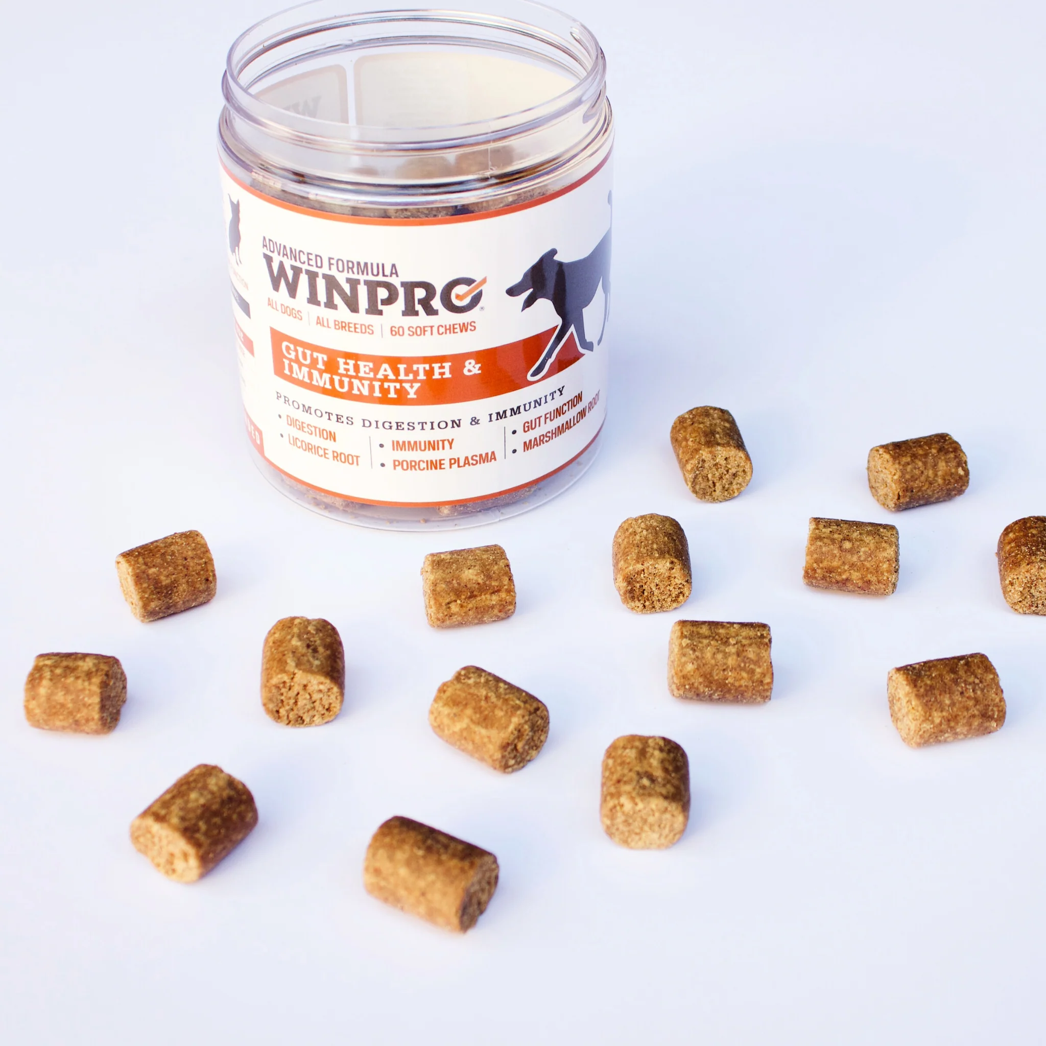 Gut Health 6-Pack - Image 12