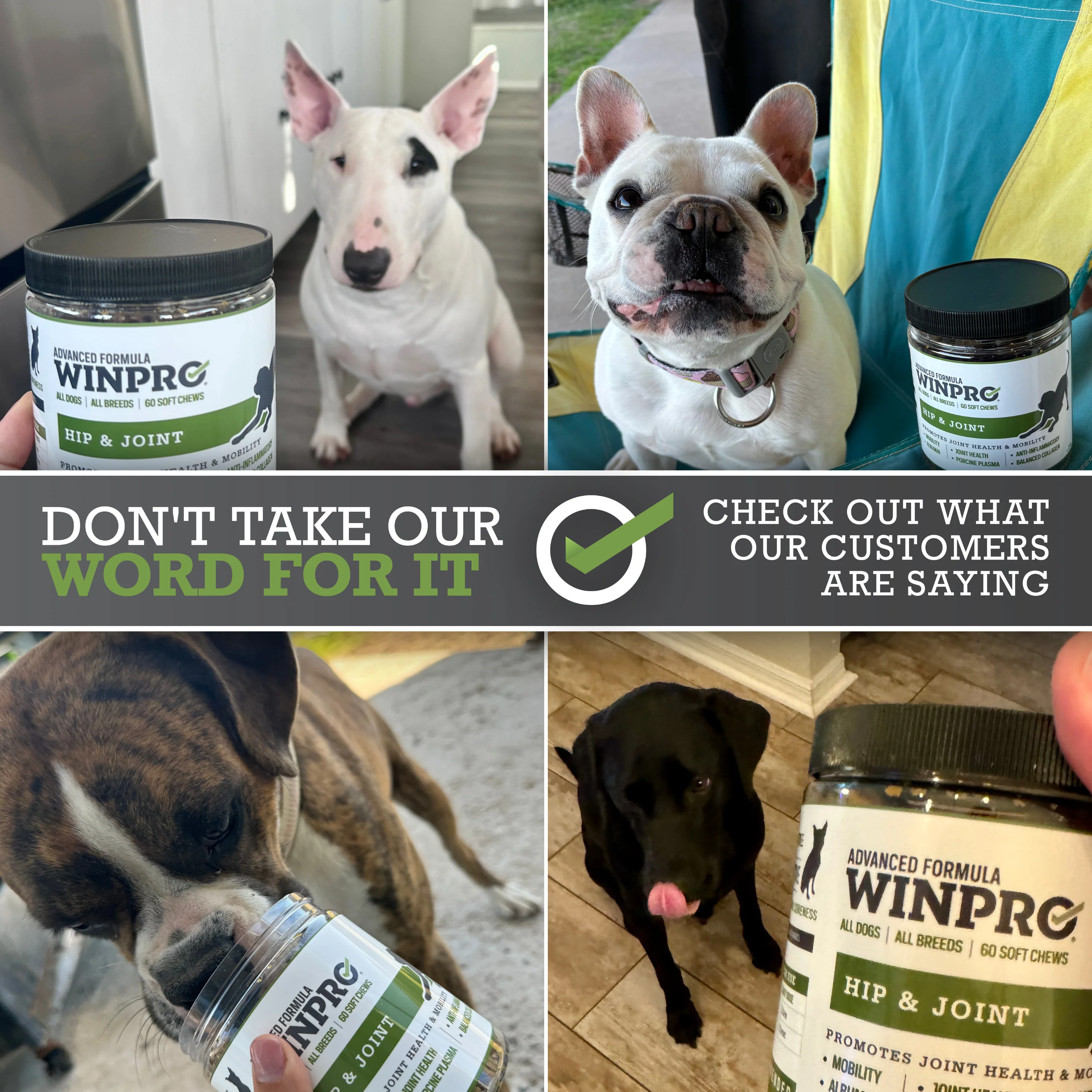 Hip & Joint - Image 7