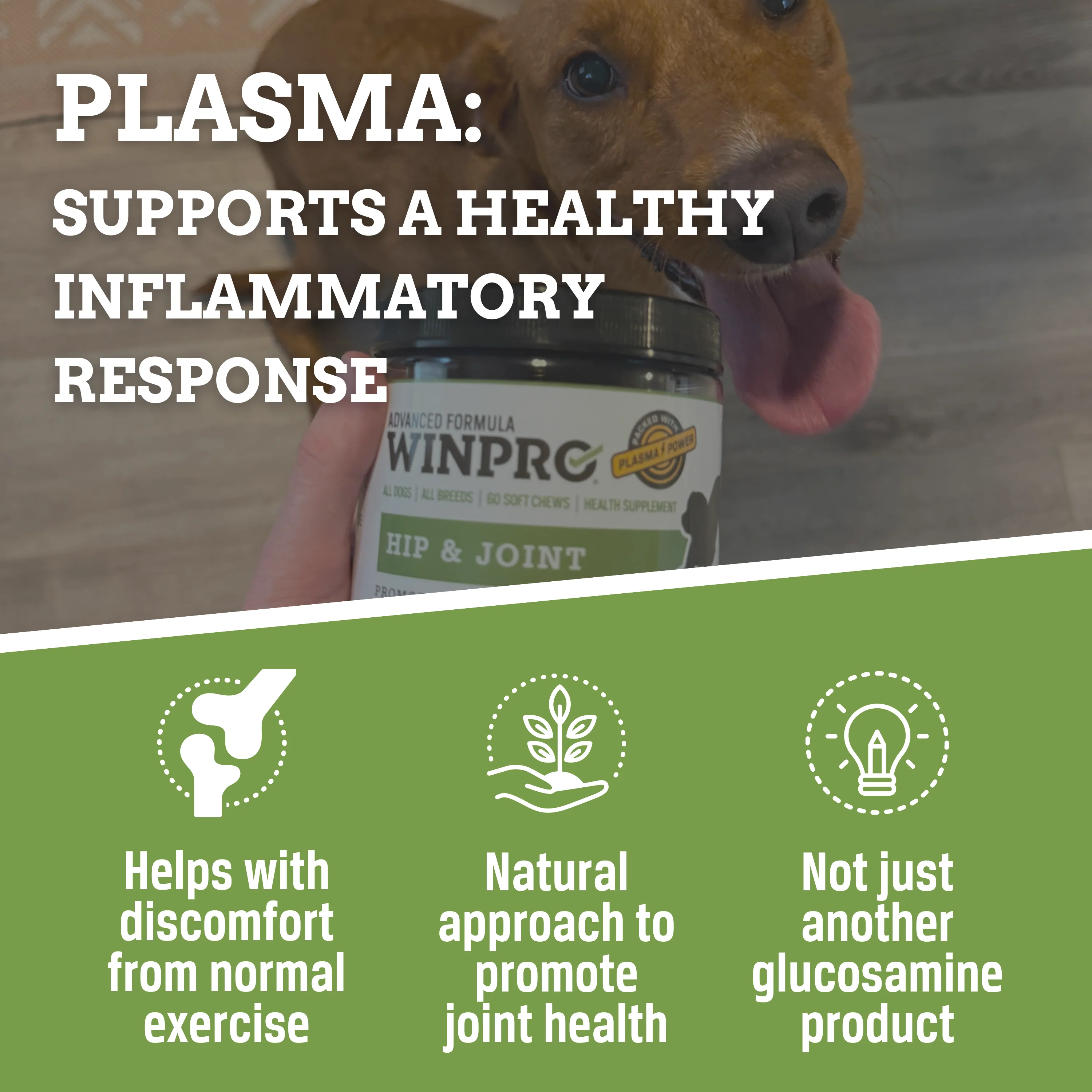 Hip & Joint - Image 9